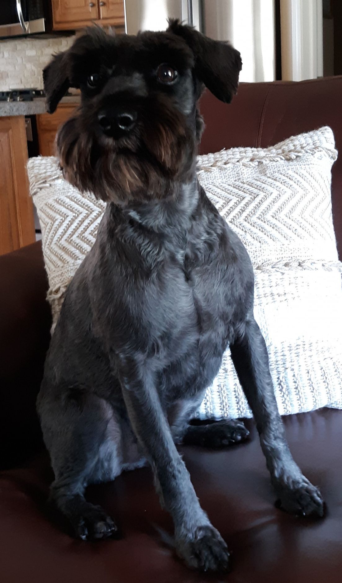 Winston